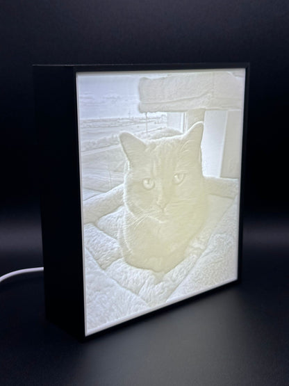 Lampada Personalizzata con Foto – La Tua Immagine si Accende (Litofania 3D)