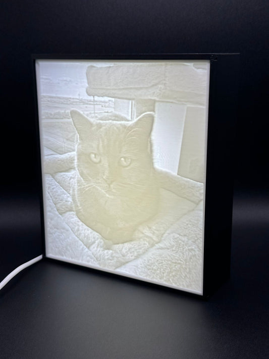 Lampada personalizzata con la foto di un gatto accesa, effetto litofania 3D