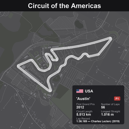 Quadro 3D circuito Austin COTA F1 - Circuit of the Americas, tracciato in rilievo